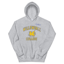 Load image into Gallery viewer, Adult Willowdale College Hoodie